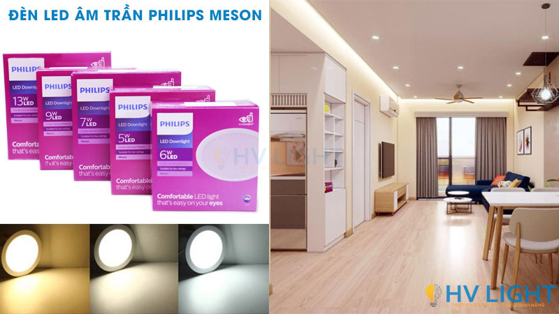 den-led-am-tran-Philips-MESON_hvlighting.jpg